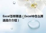 Excel怎样筛选（Excel中怎么筛选简介介绍）