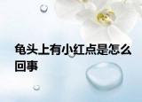 龟头上有小红点是怎么回事
