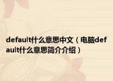 default什么意思中文（电脑default什么意思简介介绍）
