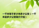 一千米等于多少米多少公里（一千米是多少公里简介介绍）