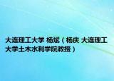 大连理工大学 杨斌（杨庆 大连理工大学土木水利学院教授）