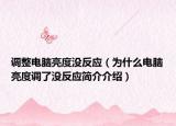 调整电脑亮度没反应（为什么电脑亮度调了没反应简介介绍）