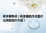 蛇冬眠特点（蛇冬眠的方式是什么样的简介介绍）