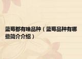 蓝莓都有啥品种（蓝莓品种有哪些简介介绍）