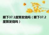 腋下37.1度算发烧吗（腋下37.2度算发烧吗）