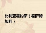比利亚霍约萨（霍萨姆加利）