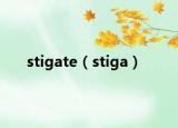 stigate（stiga）