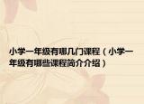 小学一年级有哪几门课程（小学一年级有哪些课程简介介绍）