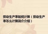 劳动生产率如何计算（劳动生产率怎么计算简介介绍）