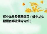 纸业龙头股票是哪只（纸业龙头股票有哪些简介介绍）