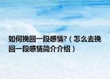 如何挽回一段感情?（怎么去挽回一段感情简介介绍）