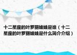 十二星座的叶罗丽娃娃是谁（十二星座的叶罗丽娃娃是什么简介介绍）