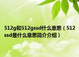 512g和512gssd什么意思（512ssd是什么意思简介介绍）