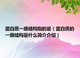 蛋白质一级结构指的是（蛋白质的一级结构是什么简介介绍）