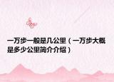一万步一般是几公里（一万步大概是多少公里简介介绍）