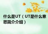 什么是UT（UT是什么意思简介介绍）