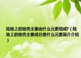 陆地上的地壳主要由什么元素组成?（陆地上的地壳主要成分是什么元素简介介绍）