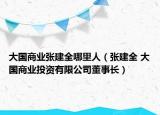 大国商业张建全哪里人（张建全 大国商业投资有限公司董事长）