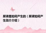 尿液是如何产生的（尿液如何产生简介介绍）