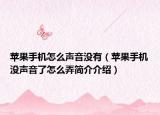 苹果手机怎么声音没有（苹果手机没声音了怎么弄简介介绍）