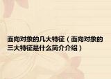 面向对象的几大特征（面向对象的三大特征是什么简介介绍）