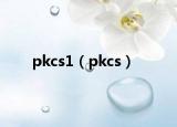 pkcs1（pkcs）