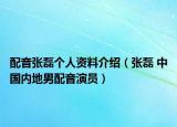 配音张磊个人资料介绍（张磊 中国内地男配音演员）