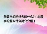 华晨宇的粉丝名叫什么?（华晨宇粉丝叫什么简介介绍）