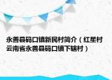 永善县码口镇新民村简介（红星村 云南省永善县码口镇下辖村）