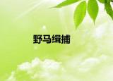 野马缉捕