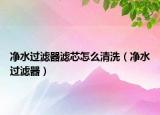净水过滤器滤芯怎么清洗（净水过滤器）