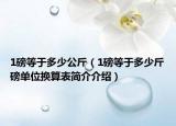 1磅等于多少公斤（1磅等于多少斤磅单位换算表简介介绍）