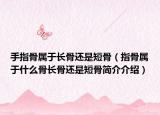 手指骨属于长骨还是短骨（指骨属于什么骨长骨还是短骨简介介绍）