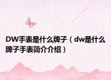 DW手表是什么牌子（dw是什么牌子手表简介介绍）