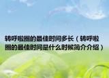 转呼啦圈的最佳时间多长（转呼啦圈的最佳时间是什么时候简介介绍）
