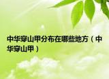 中华穿山甲分布在哪些地方（中华穿山甲）