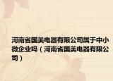 河南省国美电器有限公司属于中小微企业吗（河南省国美电器有限公司）