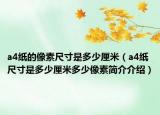 a4纸的像素尺寸是多少厘米（a4纸尺寸是多少厘米多少像素简介介绍）