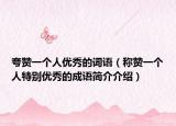 夸赞一个人优秀的词语（称赞一个人特别优秀的成语简介介绍）