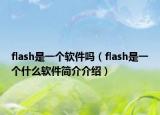 flash是一个软件吗（flash是一个什么软件简介介绍）