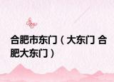 合肥市东门（大东门 合肥大东门）
