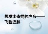 想发出奇怪的声音——飞毯追踪