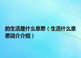 的生活是什么意思（生活什么意思简介介绍）