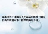 锄禾日当午汗滴禾下土表示的意思（锄禾日当午汗滴禾下土的意思简介介绍）