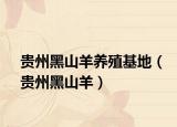 贵州黑山羊养殖基地（贵州黑山羊）