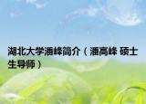 湖北大学潘峰简介（潘高峰 硕士生导师）