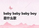 baby baby baby boy是什么歌