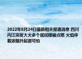 2022年8月24日最新相关报道消息 四川内江突发大火多个居民楼被点燃 火焰伴着浓烟升起很可怕