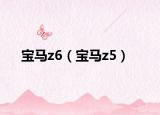 宝马z6（宝马z5）