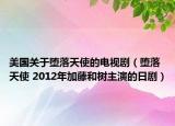 美国关于堕落天使的电视剧（堕落天使 2012年加藤和树主演的日剧）